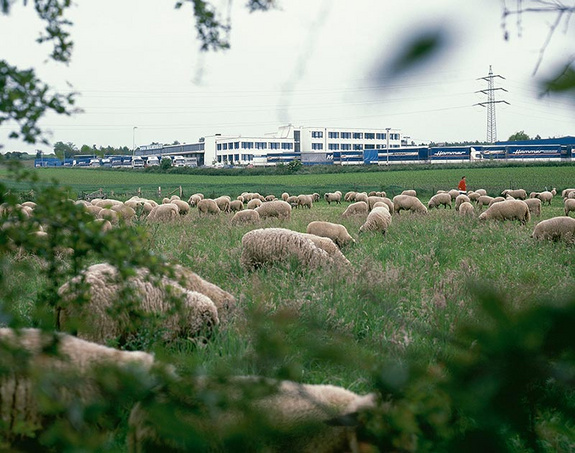 Hammer Gelände 1991